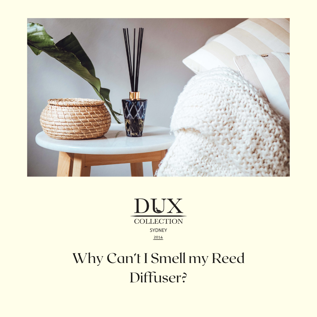 Why Can't I Smell My Reed Diffuser