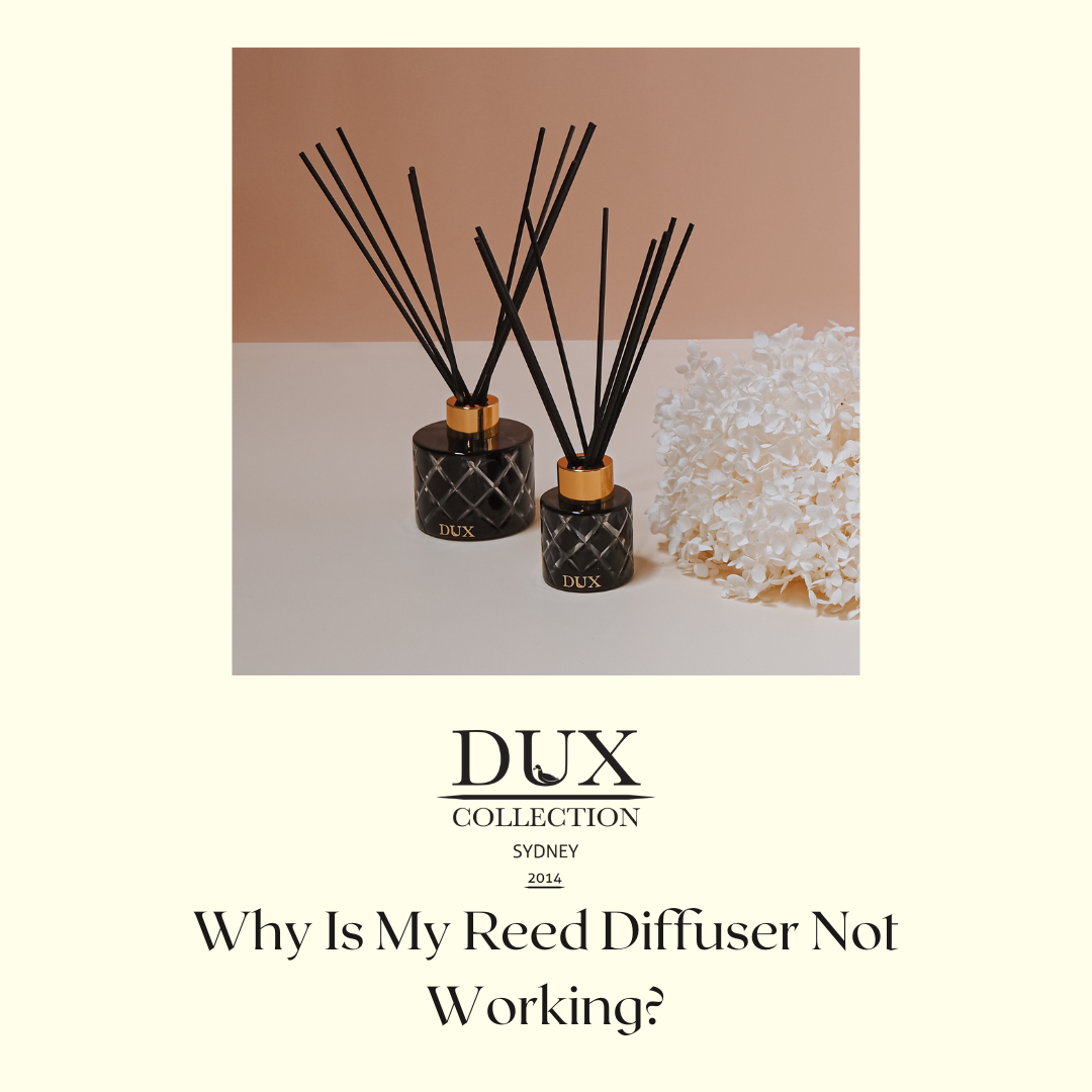 Why Is My Reed Diffuser Not Working?