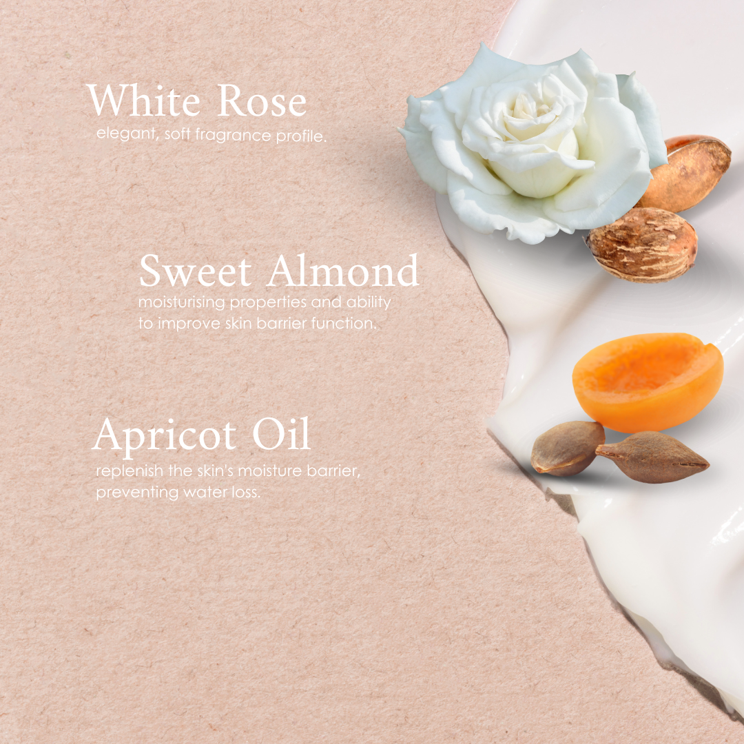 Come Away With Me Body Butter