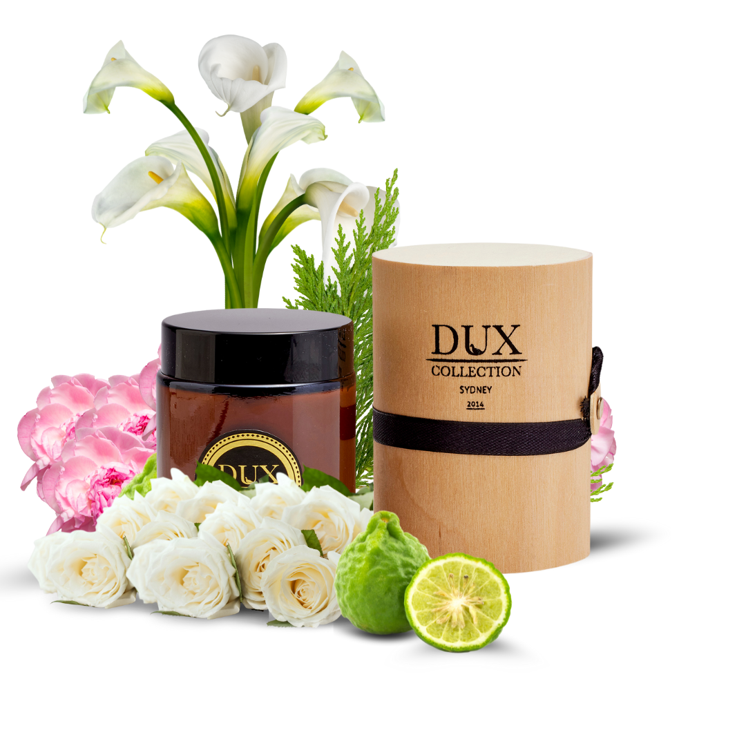 Come Away With Me Body Butter