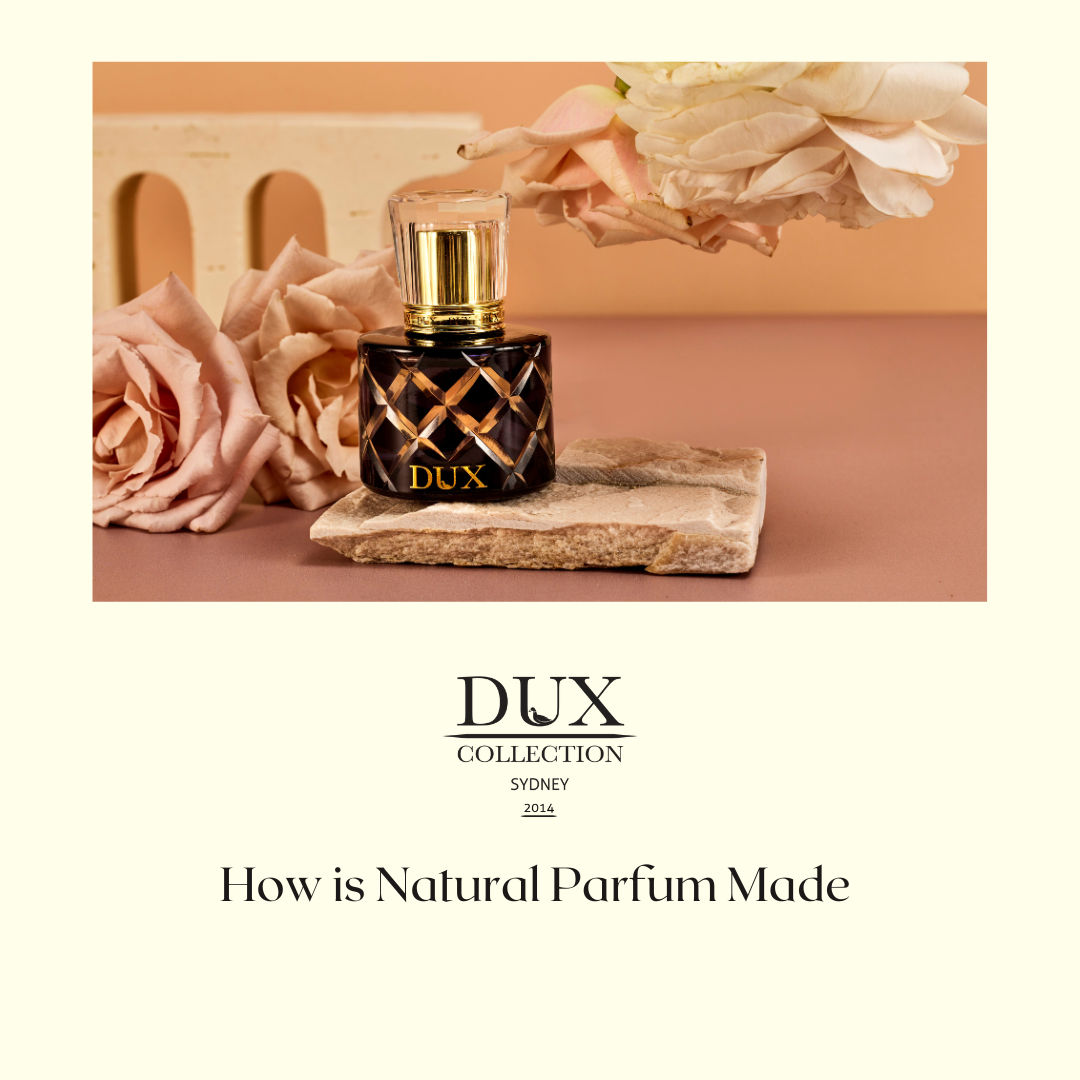 How is natural perfume made? everything to know