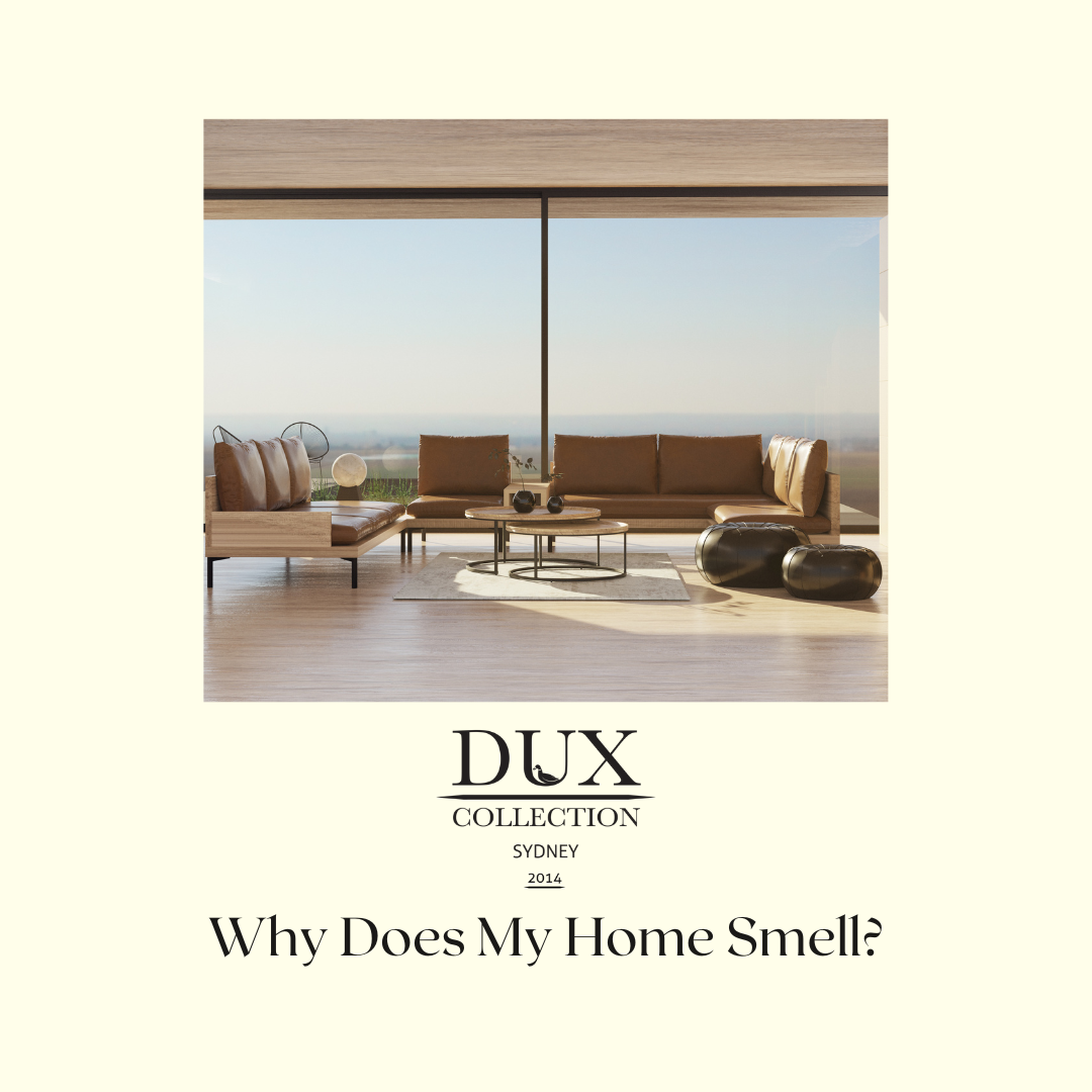 Why Does My House Smell? 3 Steps to Get Your Home Smelling Better