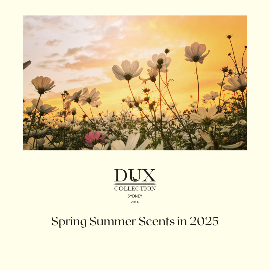 Spring Summer Scents in 2025