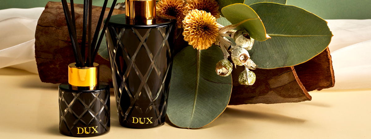 Candle Shop & Fragrance Store Sydney | Dux Collection