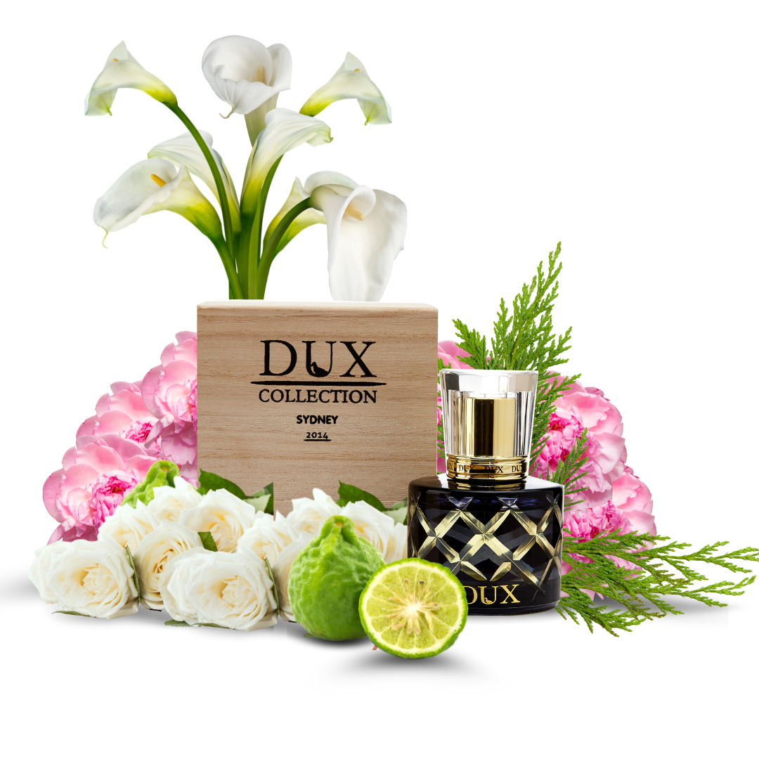 Come Away With Me Parfum